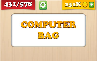  Computer Bag 