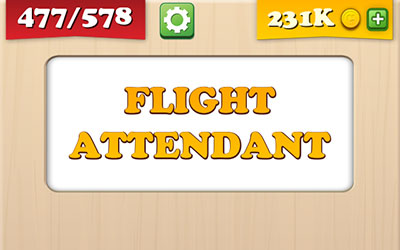  Flight Attendant 