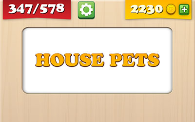 House Pets 