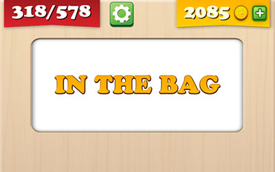  In The Bag 