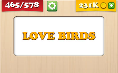  Love Birds 