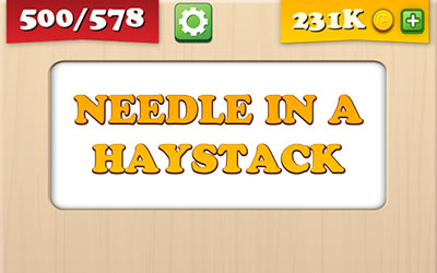 Needle In A Haystack 