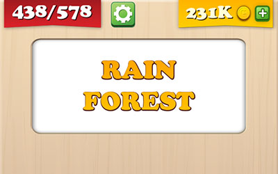  Rain Forest 