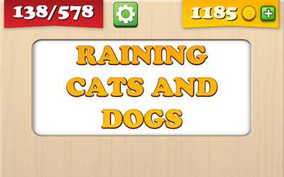  Raining Cats And Dogs 