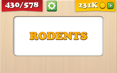 Rodents 