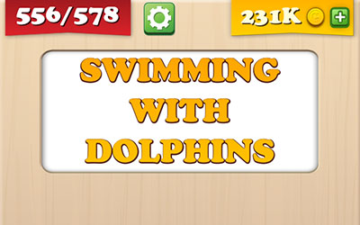  Swimming With Dolphins 