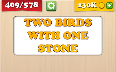  Two Birds With One Stone 