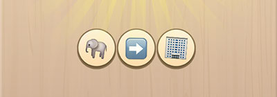  Elephant In The Room 