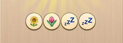  Flower Bed 