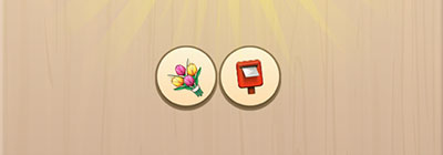  Flower Delivery 
