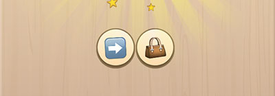  In The Bag 