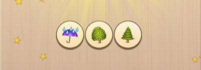  Rain Forest 