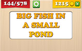  Big Fish In A Small Pond 
