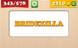  Bridezilla 