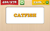  Catfish 