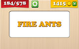  Fire Ants 