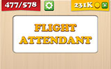  Flight Attendant 