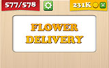  Flower Delivery 