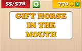  Gift Horse In The Mouth 