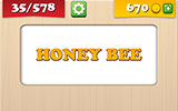  Honey Bee 