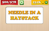  Needle In A Haystack 