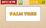  Palm Tree 