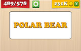  Polar Bear 