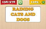  Raining Cats And Dogs 