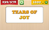  Tears Of Joy 