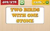  Two Birds With One Stone 